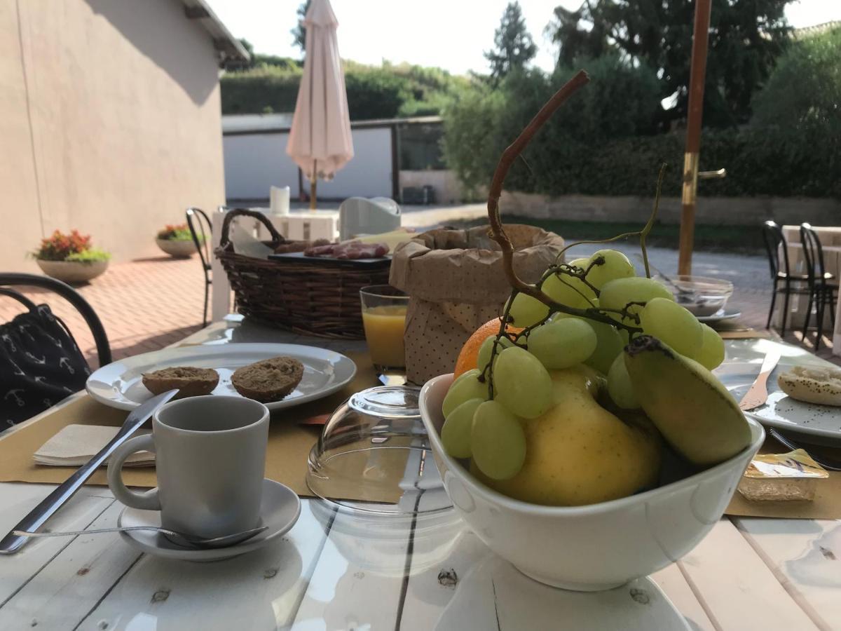 Agricamping Al Grappolo Divino Vakantieboerderij