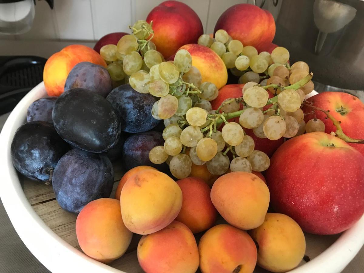 Agricamping Al Grappolo Divino Vakantieboerderij