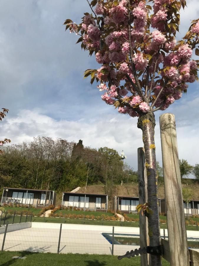 Vakantieboerderij Agricamping Al Grappolo Divino Lazise